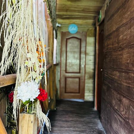 Palmario Hostal Guachaca Exterior photo