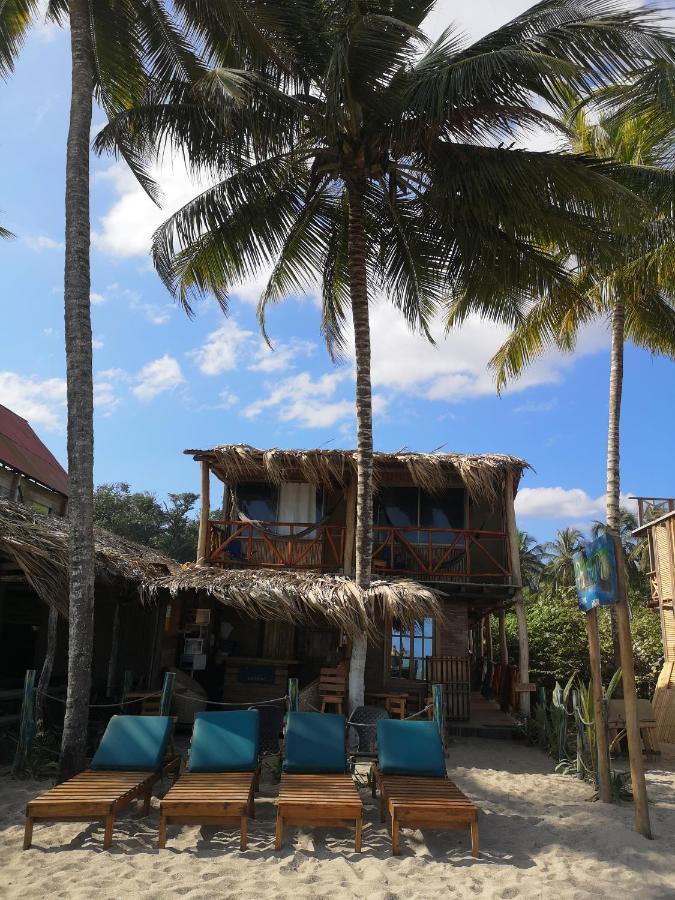 Palmario Hostal Guachaca Exterior photo