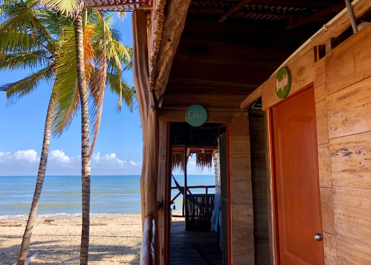Palmario Hostal Guachaca Exterior photo